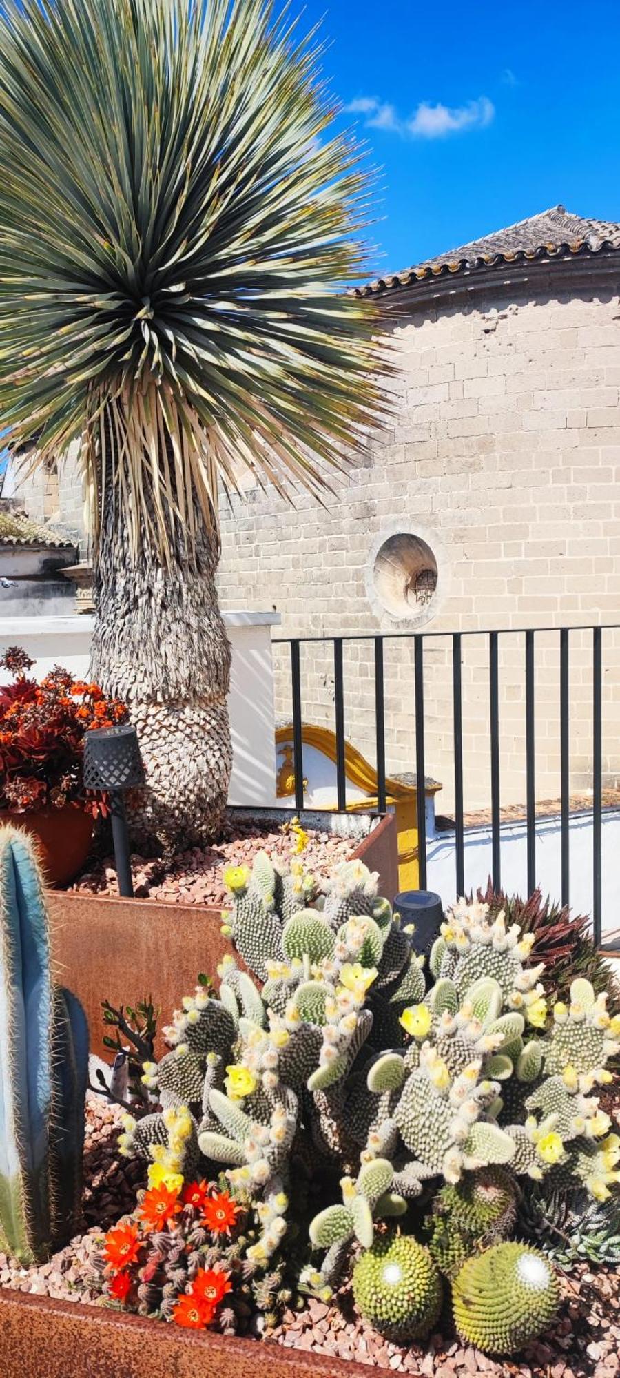 Palacio El Duende Old Town Parking Gratis Terraza Vista Catedral Alcazar Jerez de la Frontera Ngoại thất bức ảnh